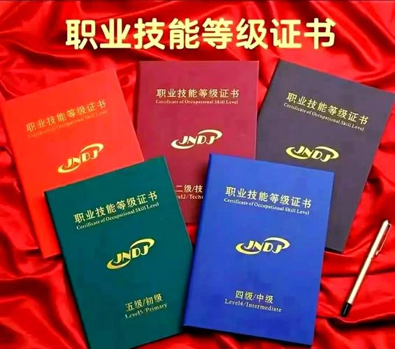 国家资格职业证书查询全国联网_1
