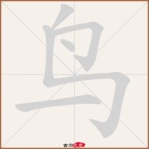 鸟笔顺怎么写呀_1
