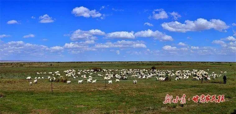 农妇与鹜说明什么道理_1