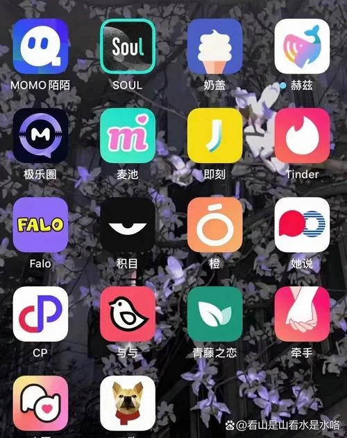 聊天软件的名字叫什么_2