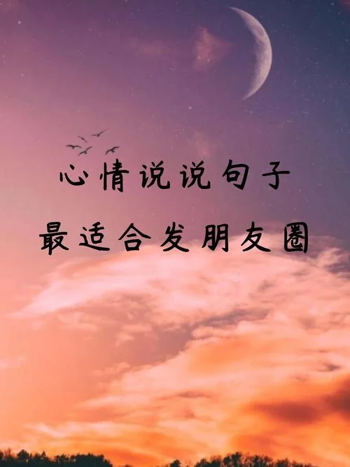 感悟心语说说大全_1