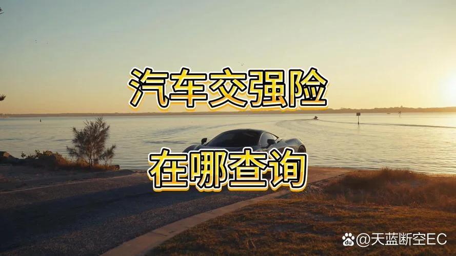 怎么查自己的车险在哪个保险公司_2