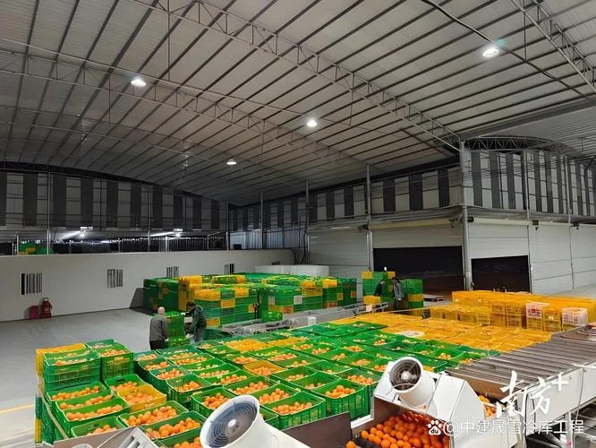 水果店冷库建设多少钱一平方_1
