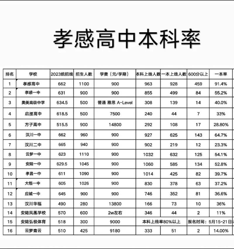 孝感高中高考成绩_1