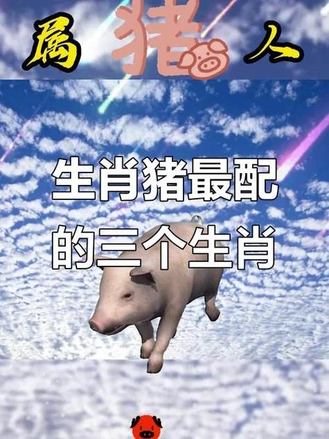 属相猪和什么配_2