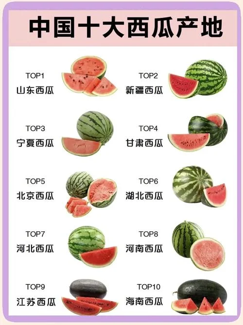 西瓜古代叫什么_1