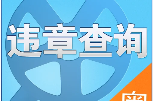 驾驶证成绩查询查不到_2