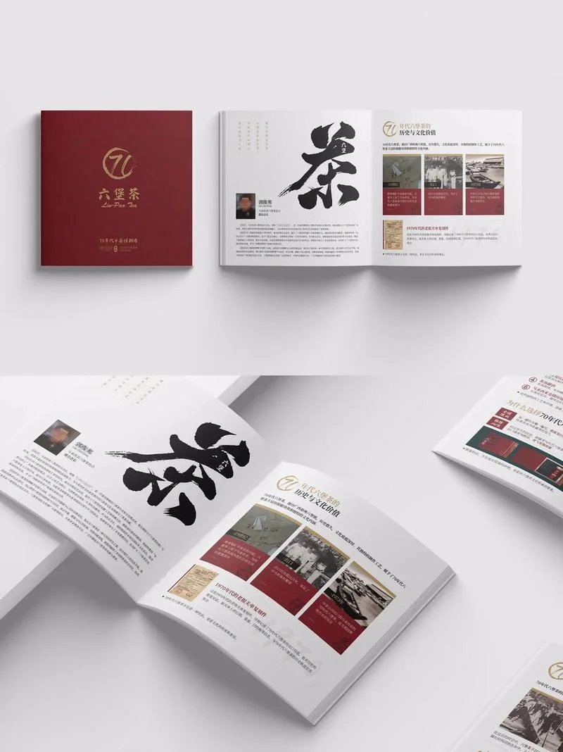 北京画册sheji公司哪个好_1