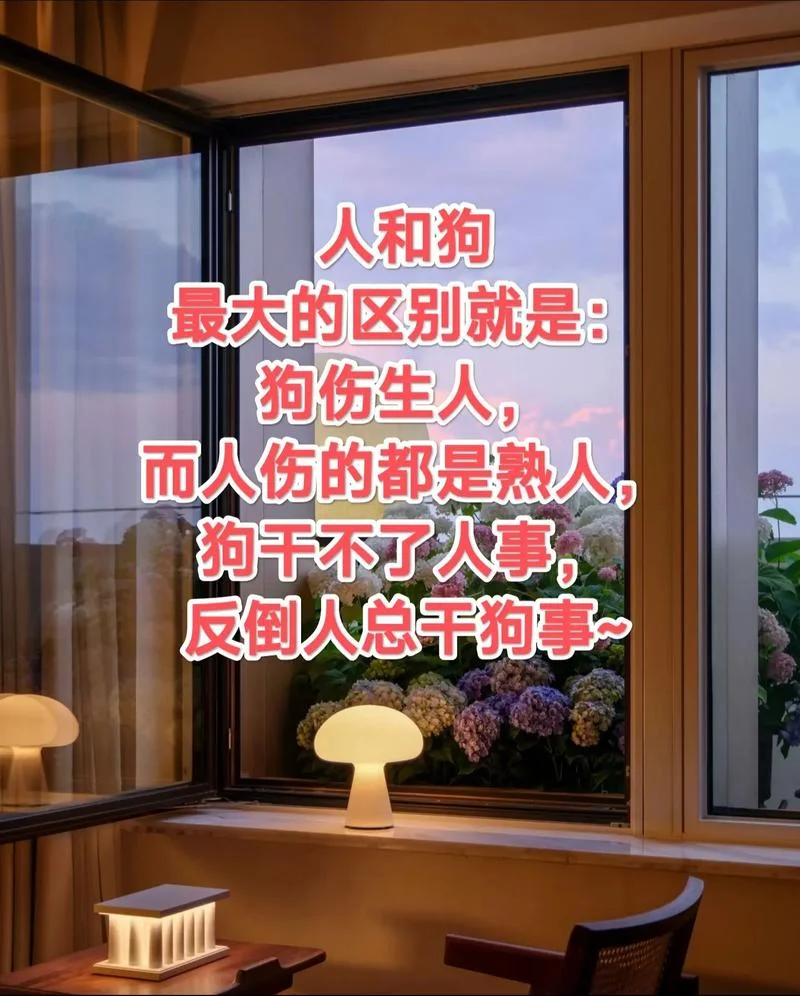 是人是狗下一句是什么_2