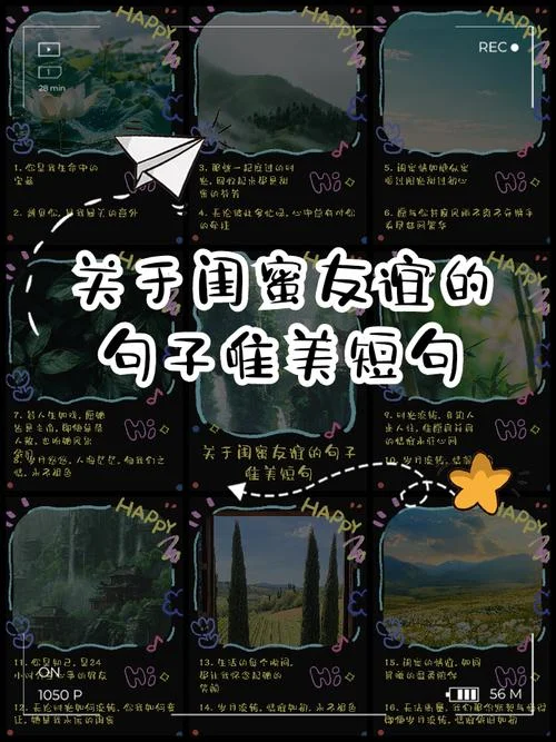 真正的朋友的感悟句子_1