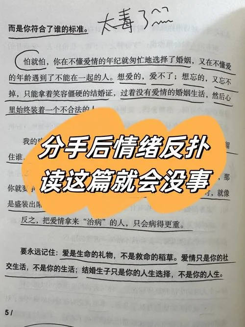 吵架后的感悟_1