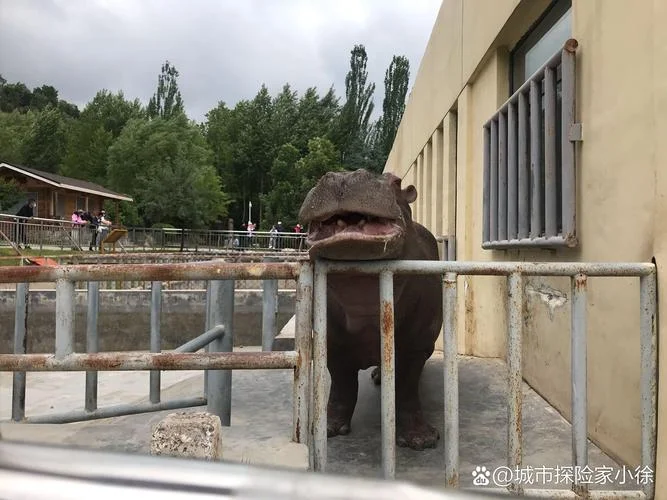 西宁动物园一日游攻略-西宁动物园一日游
