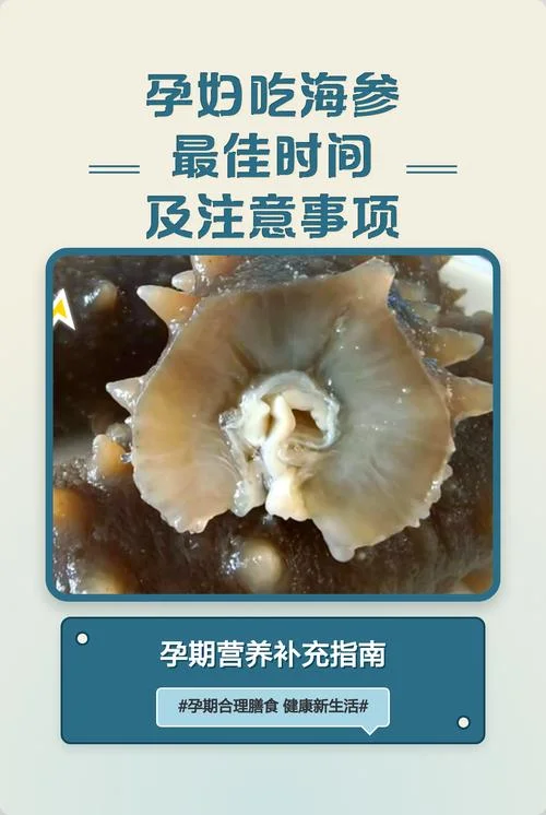 孕妇几月吃海参最佳-孕期最佳吃海参月数