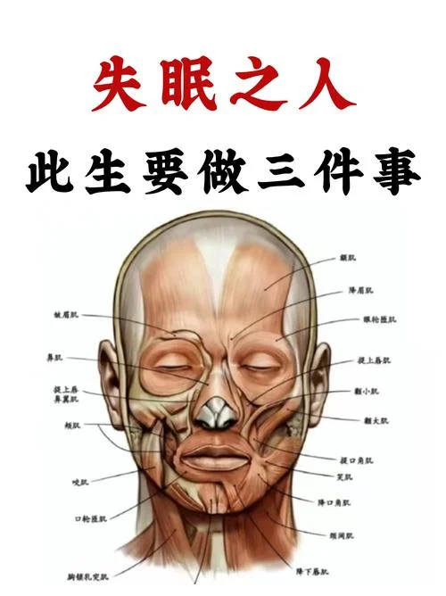 失眠的学名叫什么_1