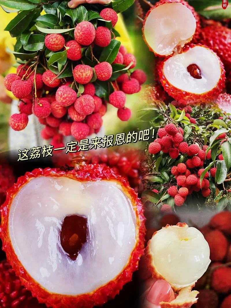 梦见买荔枝是什么意思_2