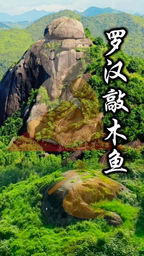 木鱼的真名叫什么_2