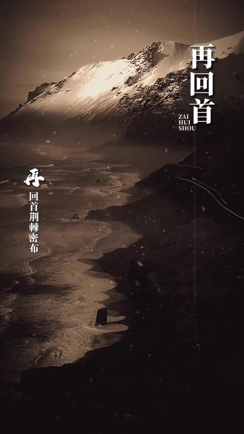再回首感悟-再回首感悟心得