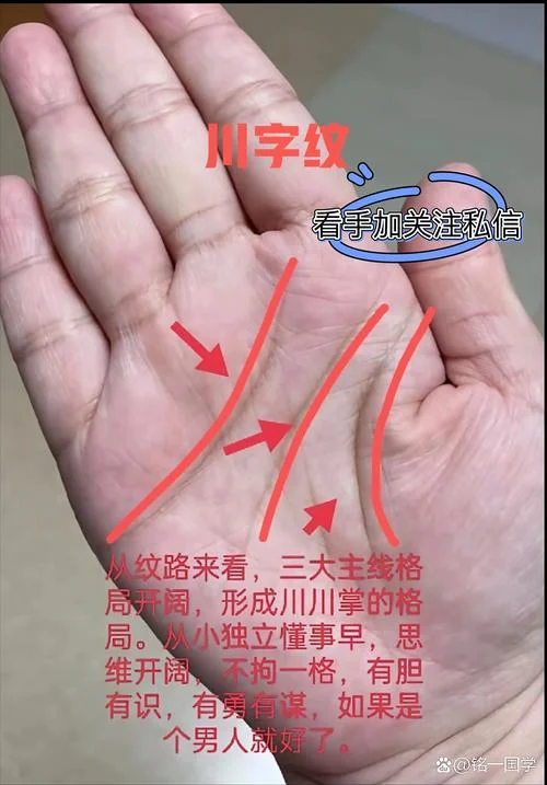 人生赢家手相_2