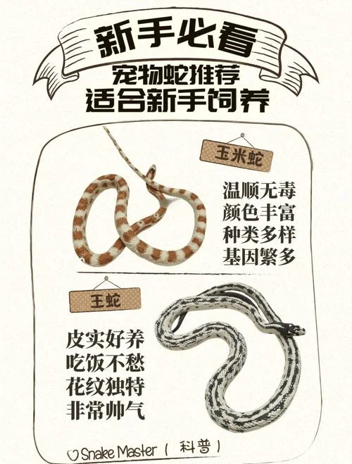 什么动物是蛇的克星_1