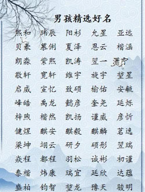 宝宝起名男姓张怎么取_2