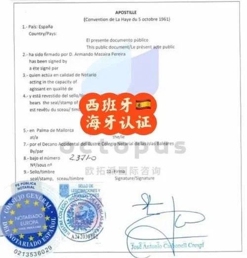 海牙的学历认证-海牙学历认证