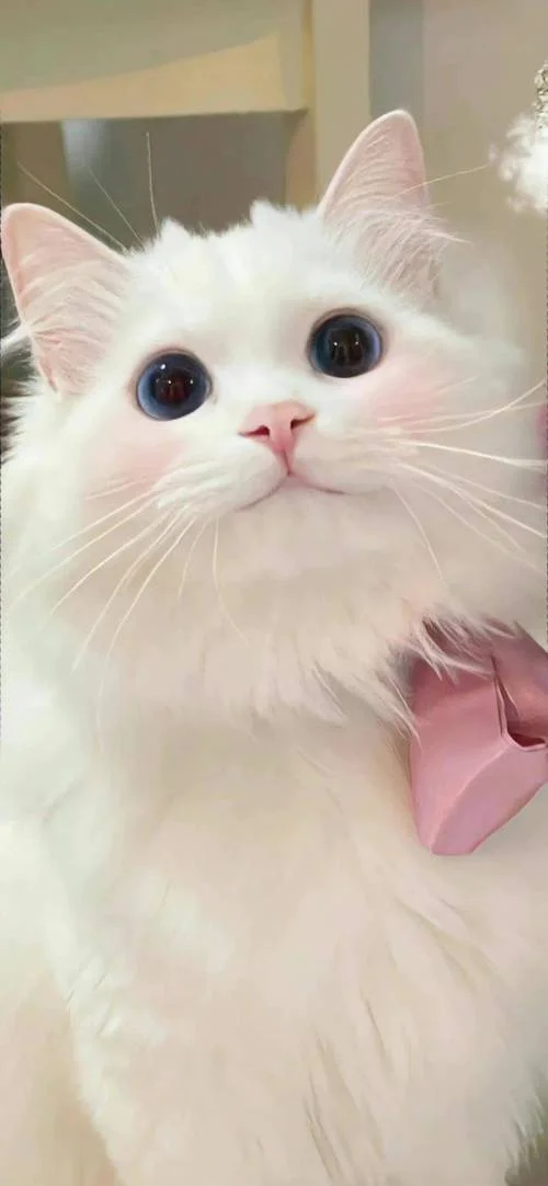 什么是锁屏壁纸_2