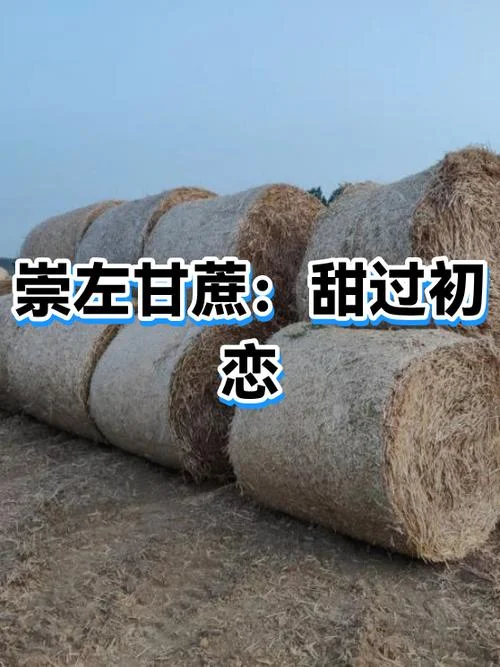 甜过初恋下一句_1