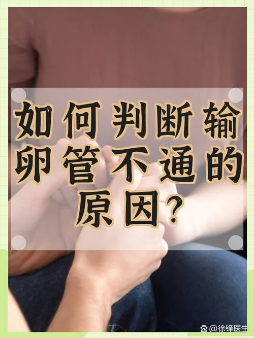 输卵管堵塞如何查-输卵管堵塞查