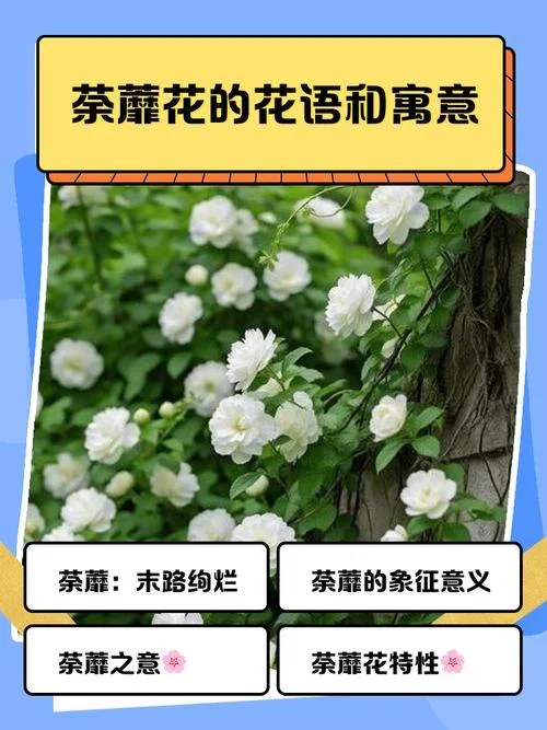 蓊蓊郁郁的含义是什么_2
