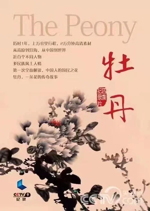 何人不爱杜丹作者是谁-杜丹作者是谁
