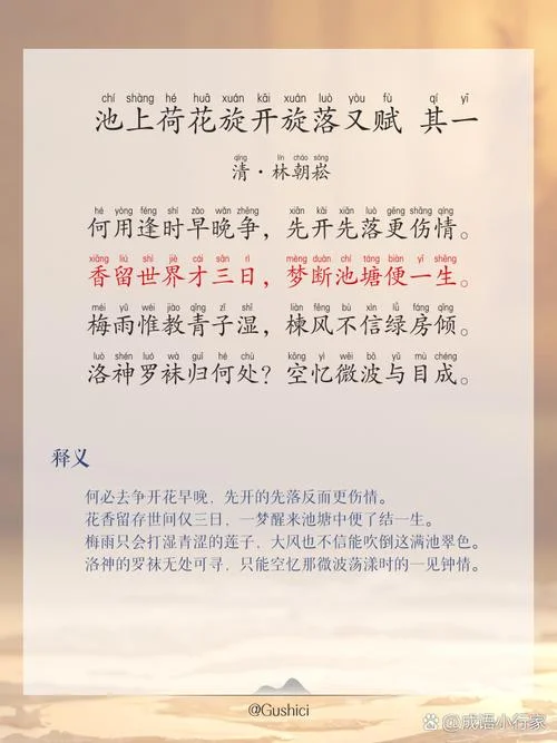 心事如莲出处_1