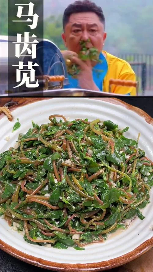 马齿笕怎么做好吃着-马齿笅怎么吃