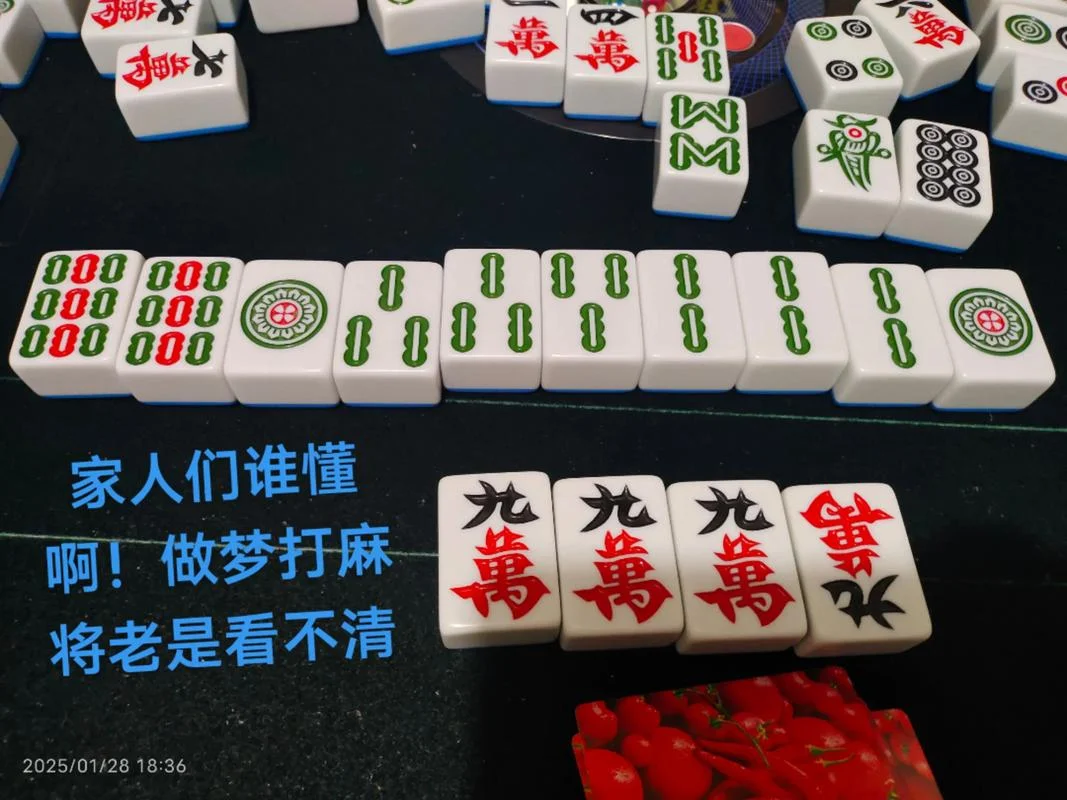 梦见打麻将输光了钱_1