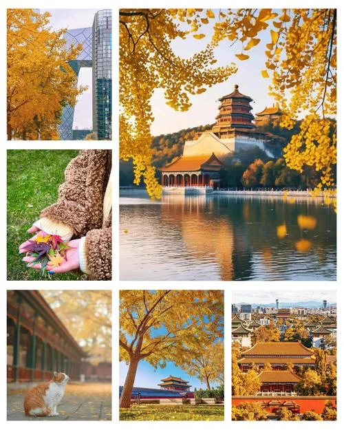 十二月份去北京旅游攻略-十二月拜京