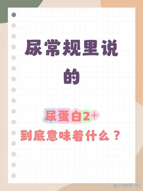 尿点式蛋白什么意思_2