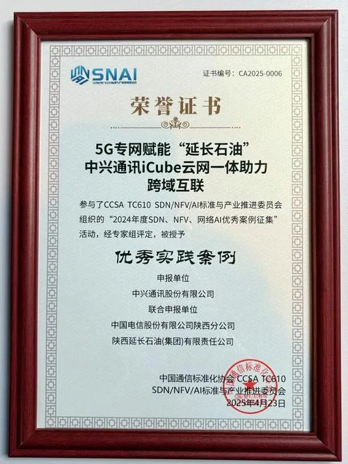 网络公司荣誉证书查询_2