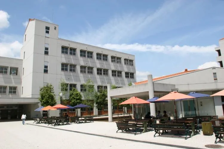 留学生证明查询网站-留学生证明网上查询