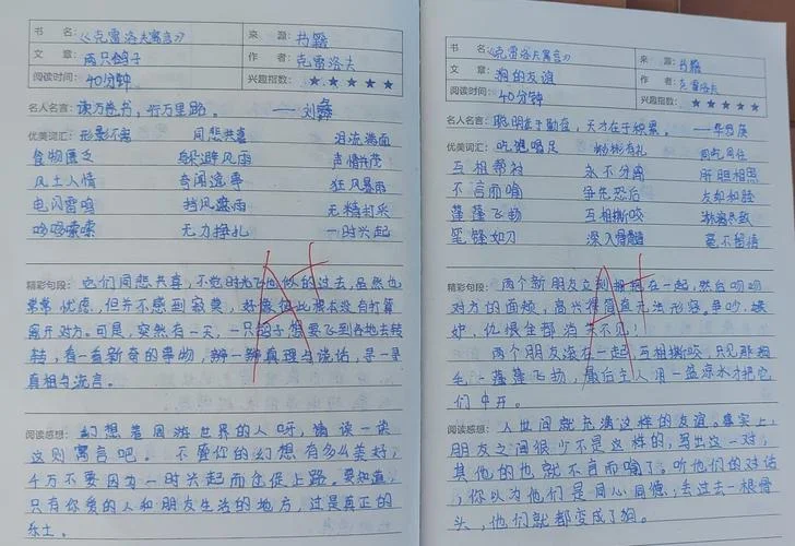 我的读书笔记读后感_1