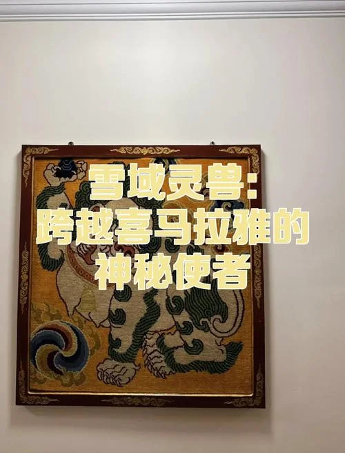 神秘使者大结局目录_1