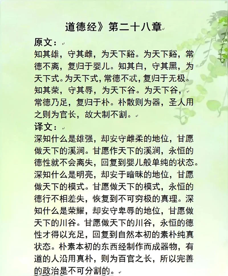 道德经的人生感悟-道德经人生感悟
