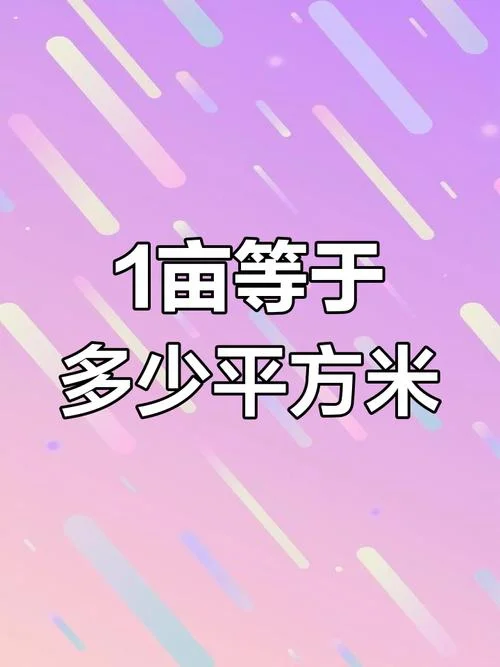 一厘地等于多少亩_2