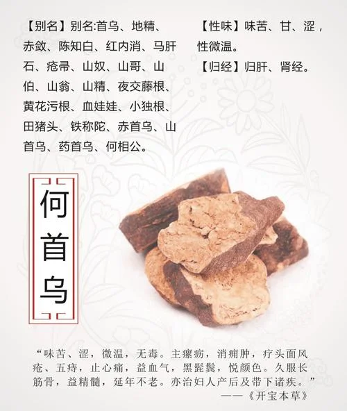 到地的何首乌出自哪里_1