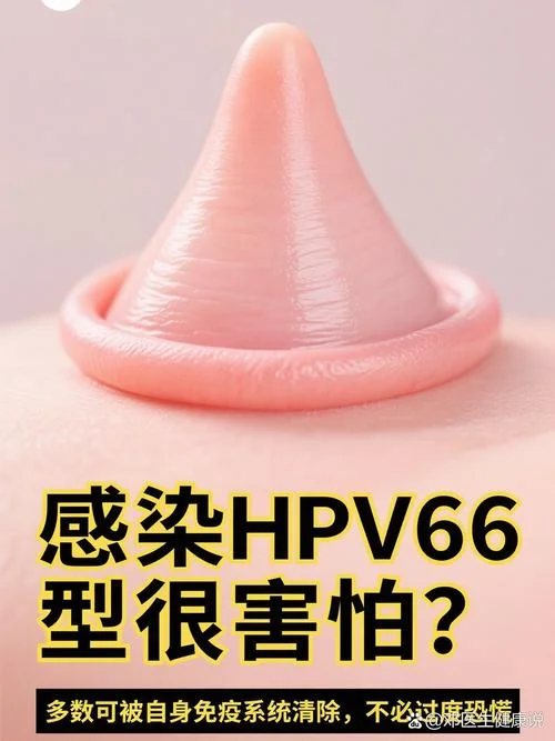 hpv66阳性是什么意思_2