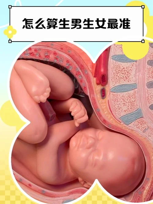 孕妇梦见别人怀男孩子-孕妇梦人怀男胎