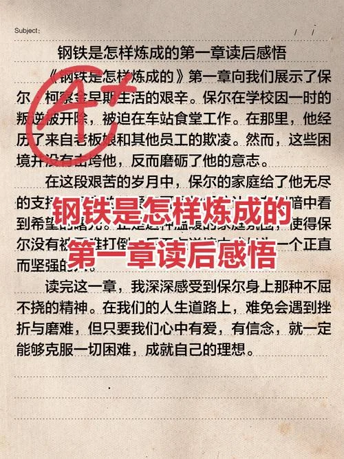 钢铁是怎样炼成的读书感悟_1