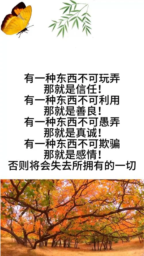 感悟人生语录句子_1