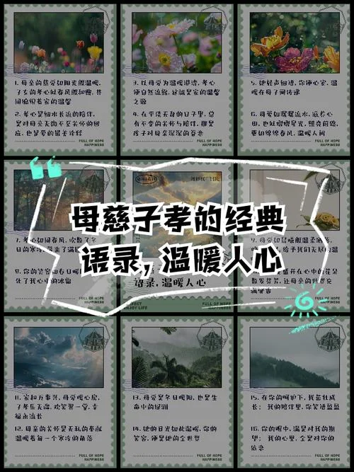 孝老爱亲感悟_1