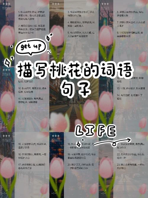 桃气满满文案_2
