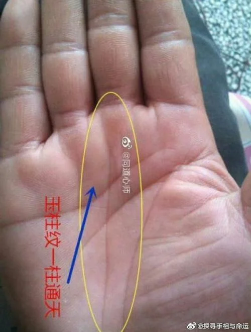 名人的手相高清-名人手相高清