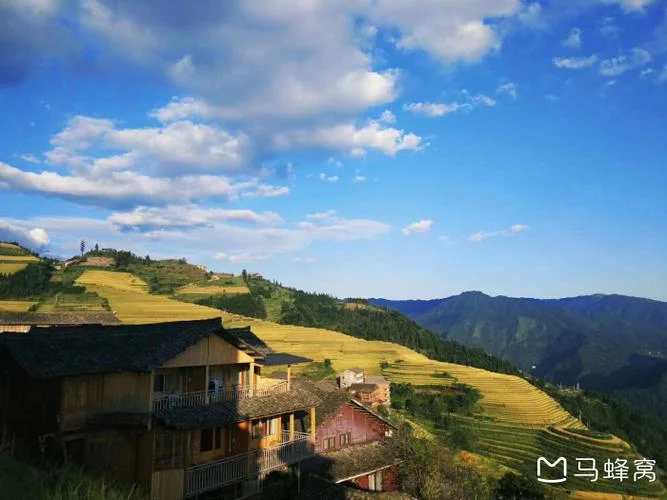 蚂蜂窝旅游攻略用不了_2